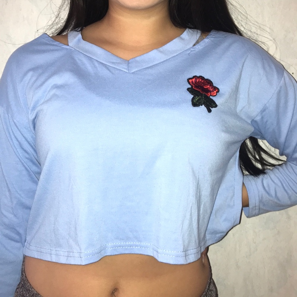 Blue long sleeved crop top with rose embroidery